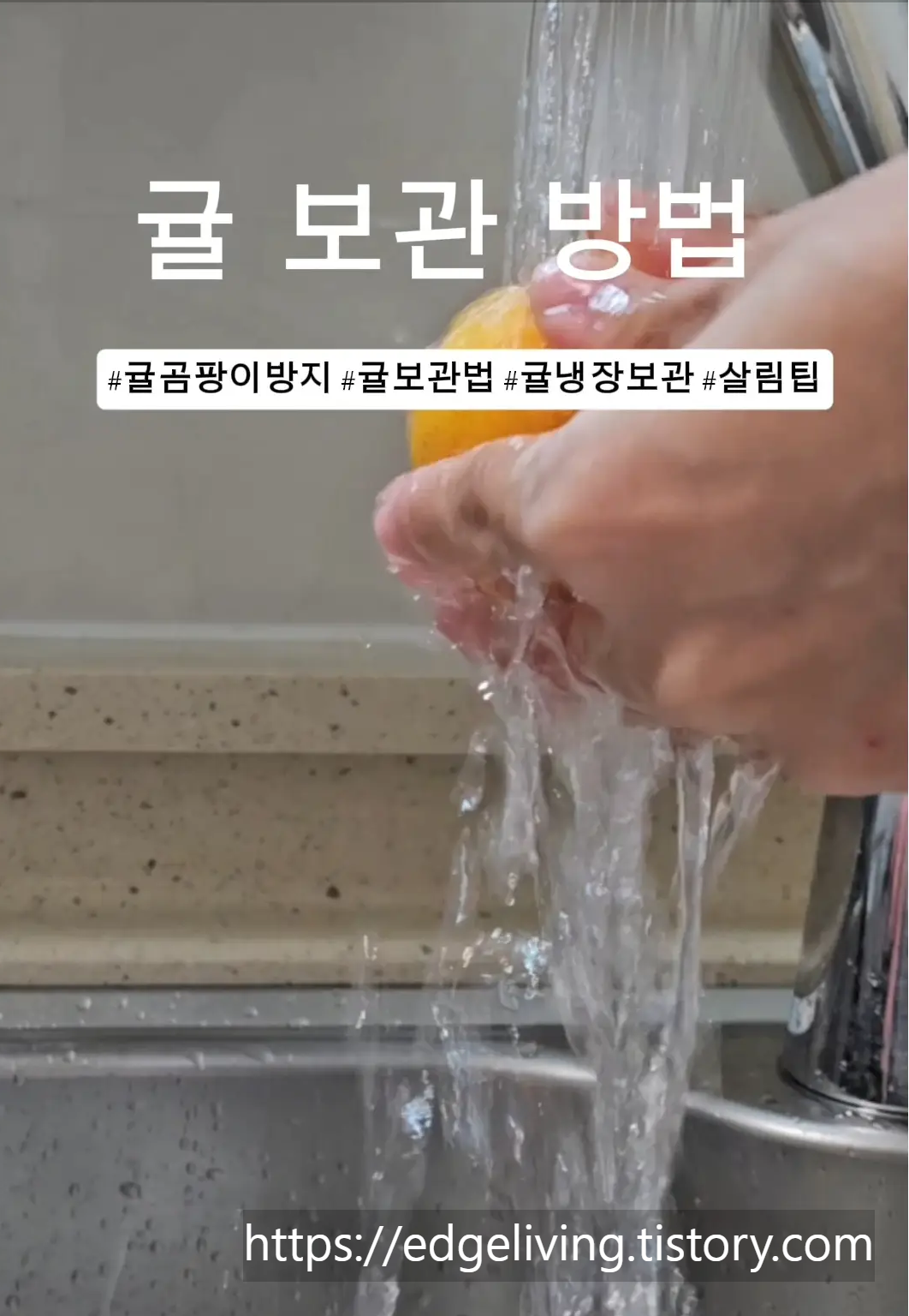 귤을-세척하여-보관하면-곰팡이방지를-할수있다