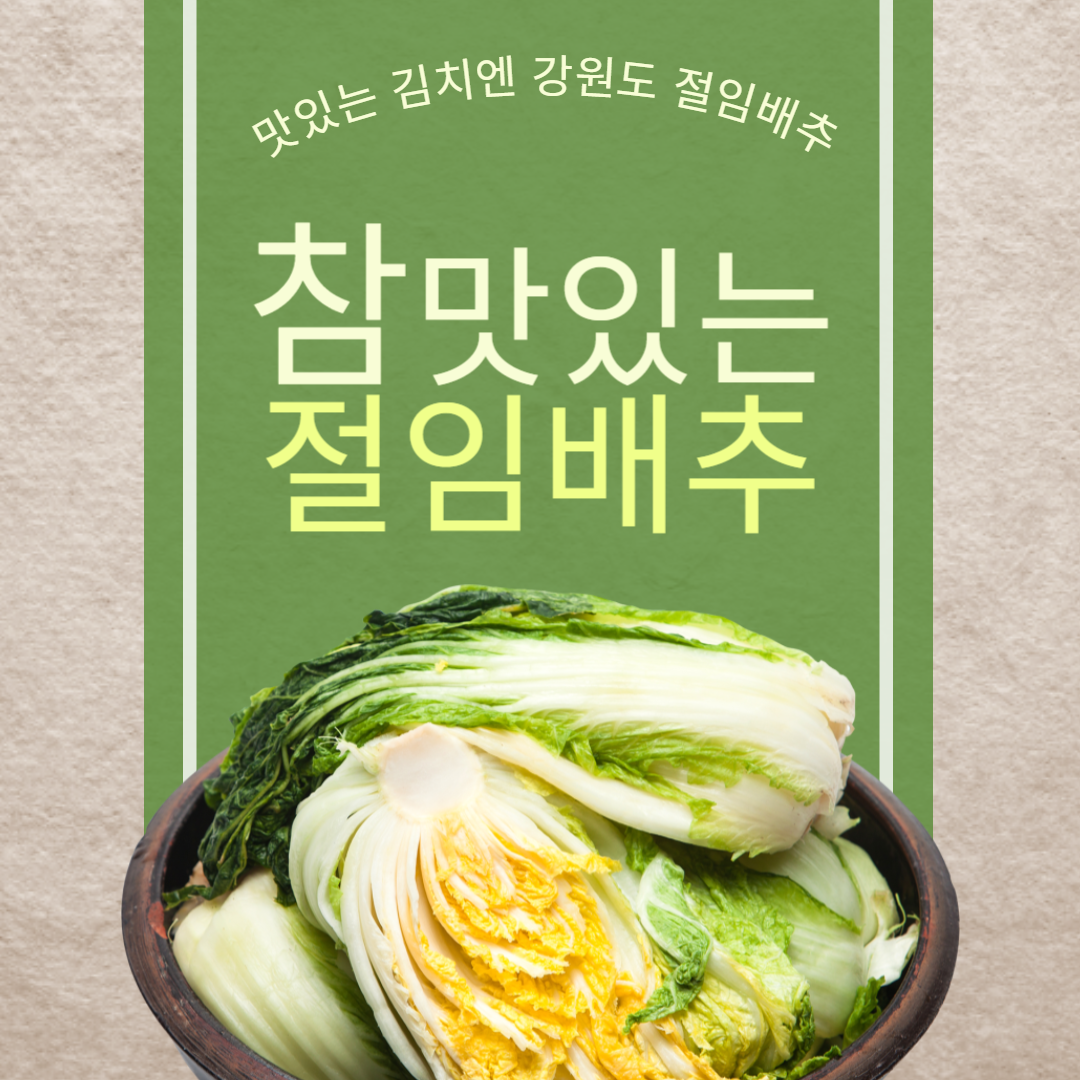 강원도절임배추