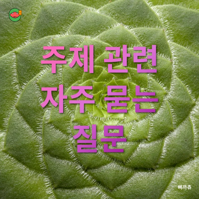 다육식물 겨울 관리_4