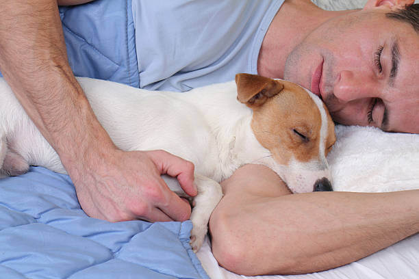노견 수면시간&amp;#44; 나이가 들수록 변화하는 이유와 관리 방법