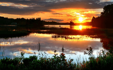 수족구 원인이 기후변화