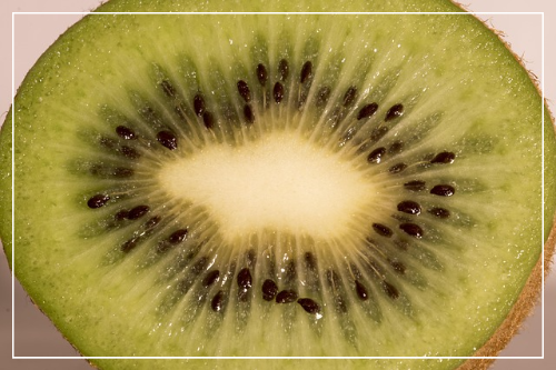 참다래의 효능과 효과