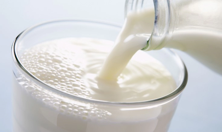 락토페린 다이어트 효능