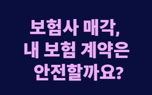 보험사 매각&amp;#44; 내 실손보험 지금 갈아타야 할까?