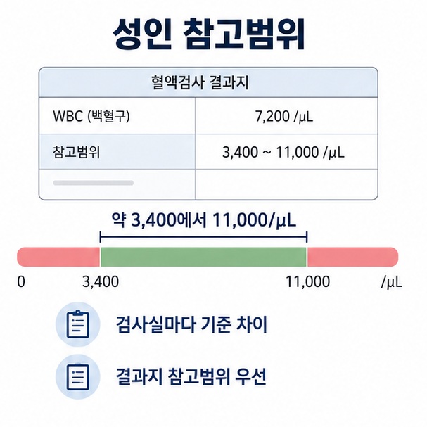 성인 백혈구 참고범위와 검사실마다 정상범위가 다를 수 있어 결과지 기준을 먼저 확인해야 한다는 내용을 표현한 이미지