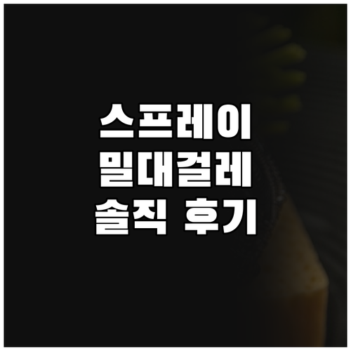 스프레이 밀대걸레 사용 후기 꼼꼼 청