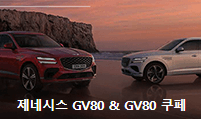 중고차 매매 사이트
