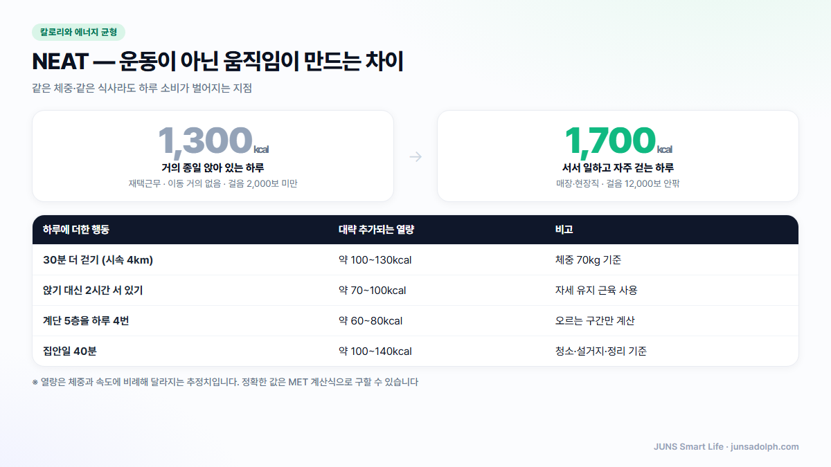 일상 활동량 NEAT에 따른 하루 소비 차이 도식