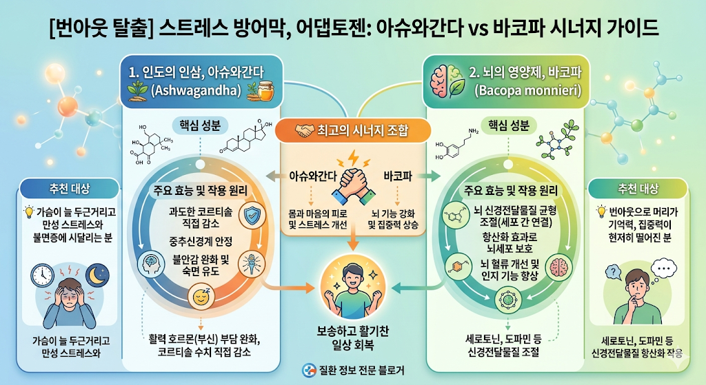 아슈와간다vs바코파 핵심 효능 비교