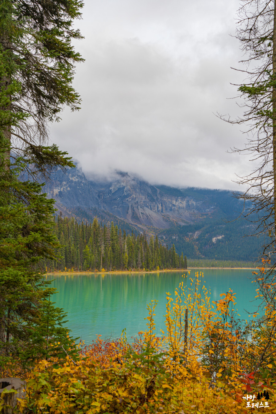 캐나다 에메랄드 호수 버스투어