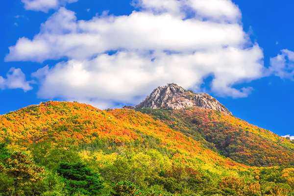 안산 수암봉