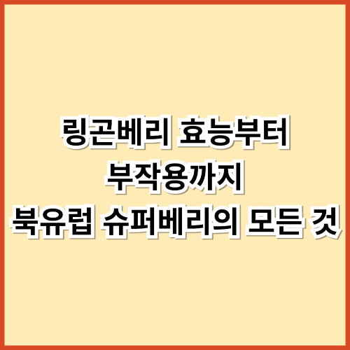 링곤베리 효능부터 부작용까지 &ndash; 북유럽 슈퍼베리의 모든 것