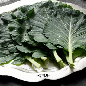 루테인 많은 음식