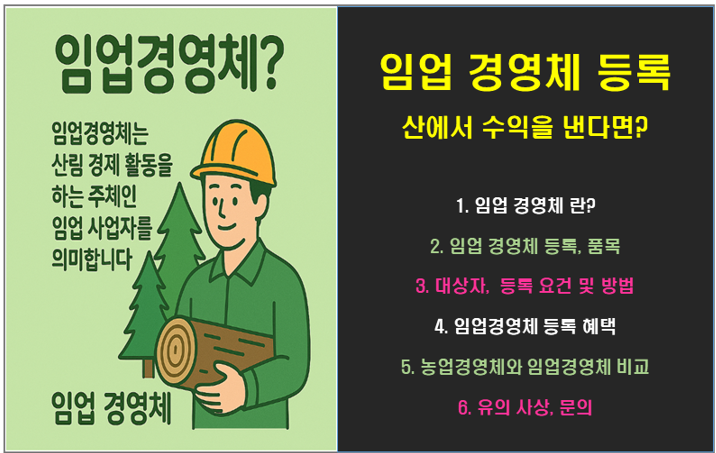 임업 경영체 등록 : 산으로 수익을 냈다면?