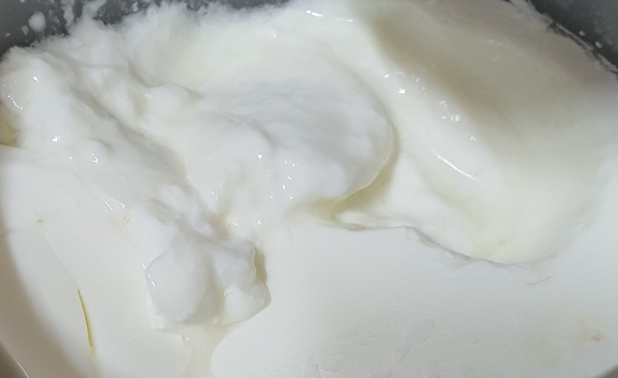 잘 발효된듯 보이는 요거트