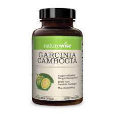 가르시니아 캄보지아