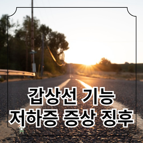 갑상선 기능 저하증 증상