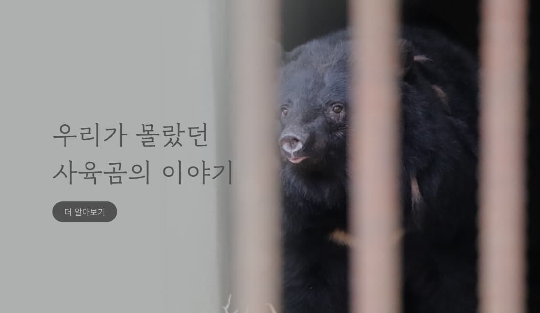 곰 사육 문제, SNS에서 알리는 5가지 콘텐츠 전략