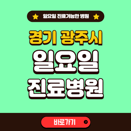 경기 광주시 일요일 진료 가능한 병원 ❘ 주말 문여는 곳 총정리 (소아과, 내과, 안과, 치과, 피부과, 정형외과, 산부인과)