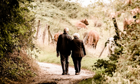 요양병원-본인-부담금-비용-입원조건