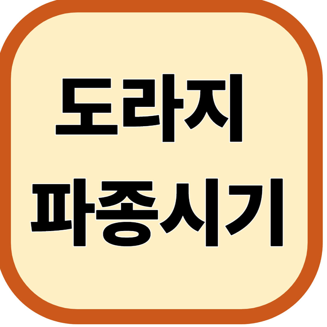 도라지 파종시기