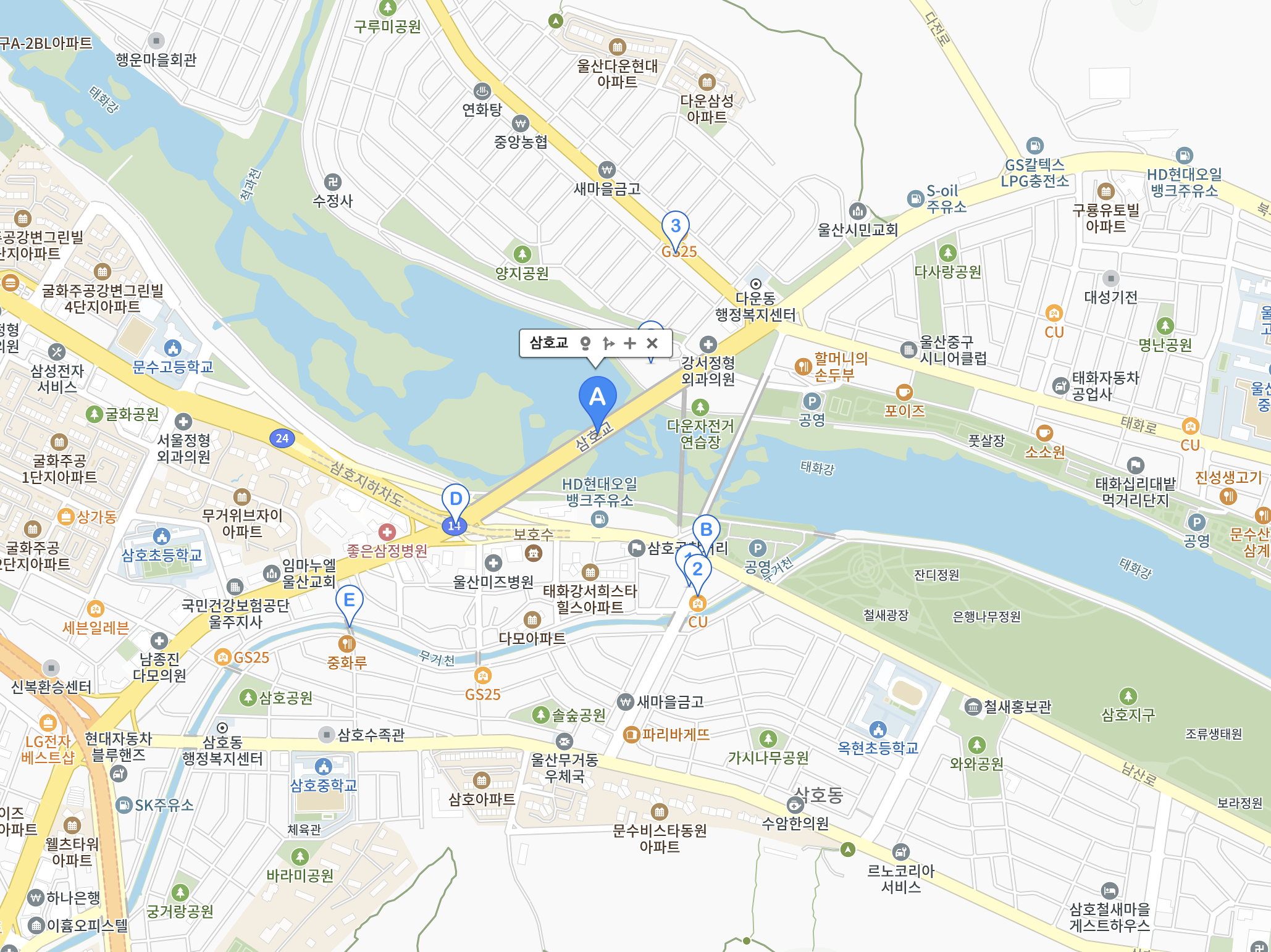 울산 삼호교 전면 통제