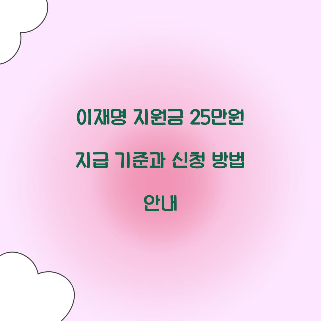 이재명 지원금 25만원