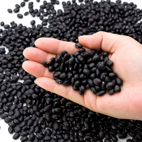 검정콩 효능 부작용