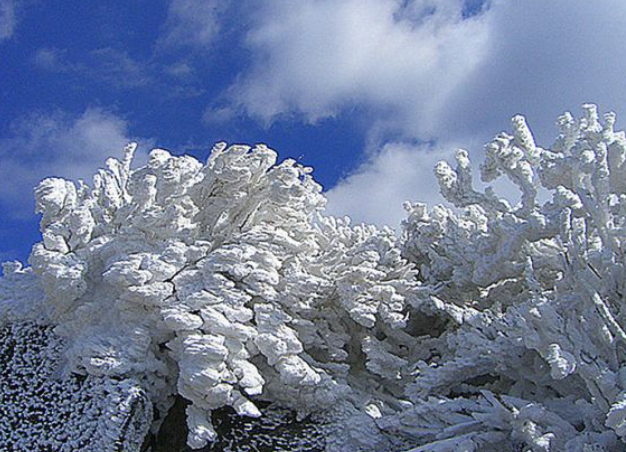 1월 전라도 광주 가볼만한곳 추천 ❘ 국내 겨울 여행지 ❘ 데이트 가족 당일치기 여행