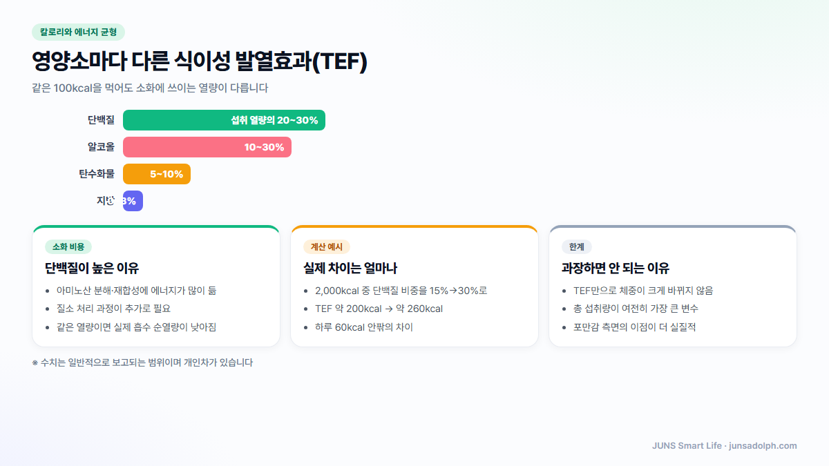 영양소별 식이성 발열효과 TEF 비율 비교 도식