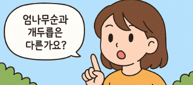 엄나무순과 개두릅은 다른가요?