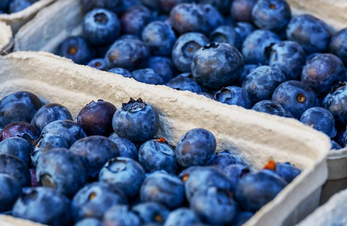 건강한 블루베리