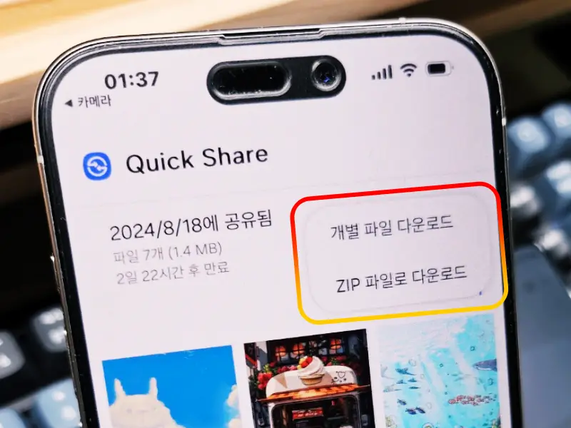 개별-ZIP-선택