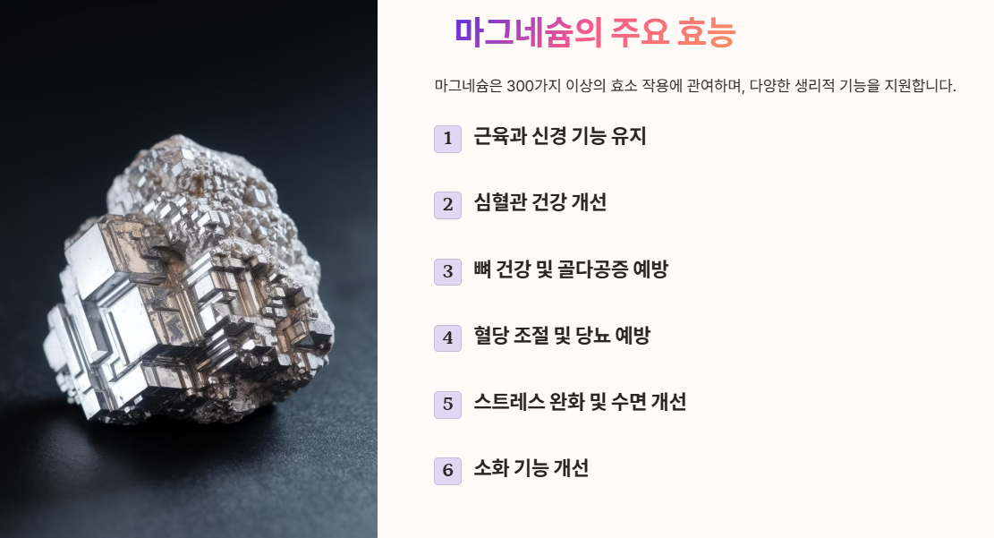 마그네슘의 주요 효능