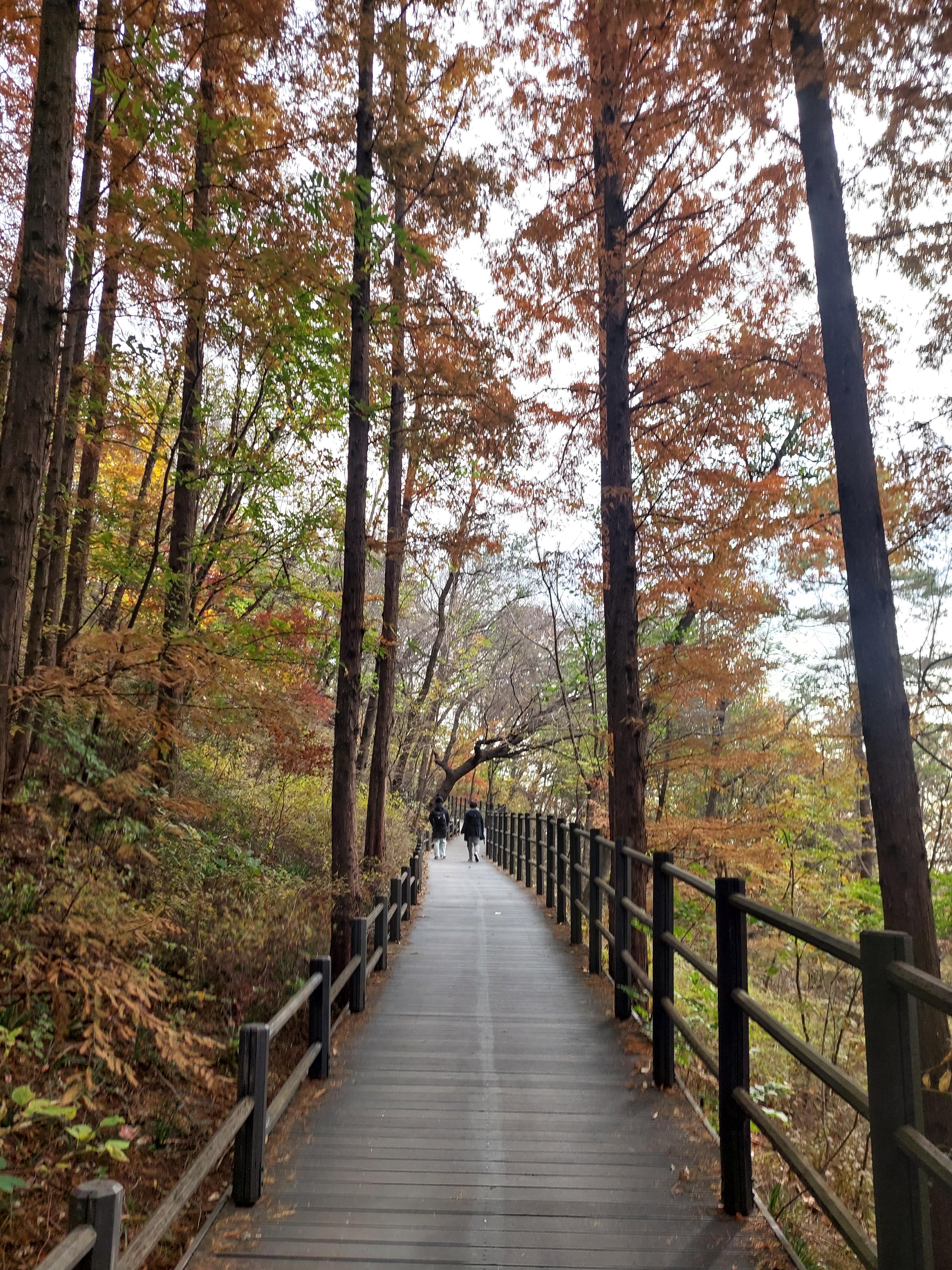 안산