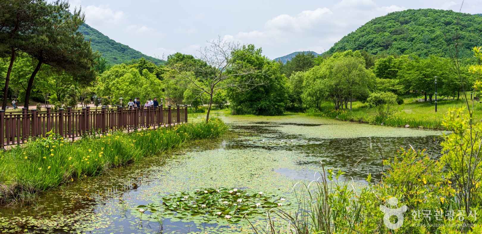 선운산 생태숲