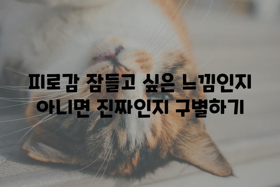 피로감 잠들고 싶은 느낌인지 아니면 진짜인지 구별하기