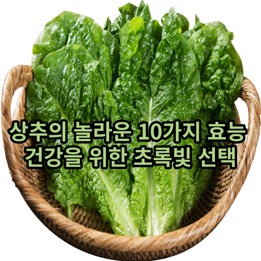 상추의 놀라운 10가지 효능 건강을 위한 초록빛 선택