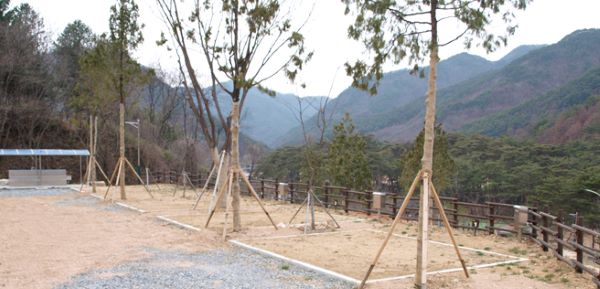 문장대캠핑장