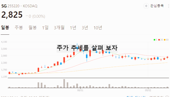 트럼프 관련주 대장주 테마주 수혜주 TOP7 정리