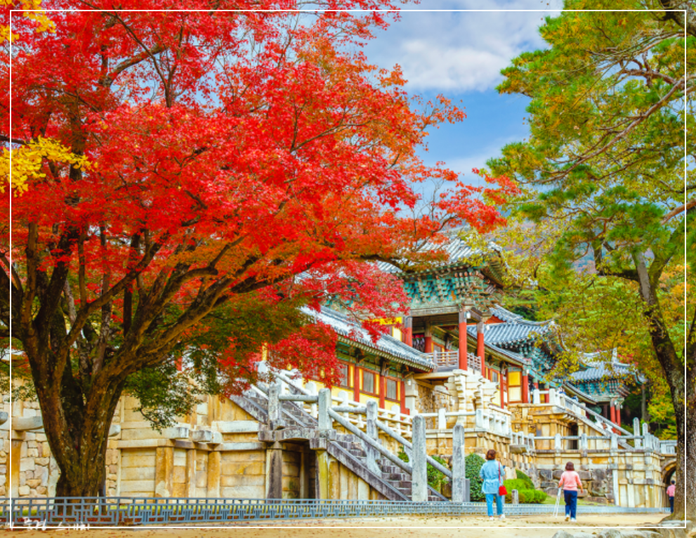 단풍-명소-불국사