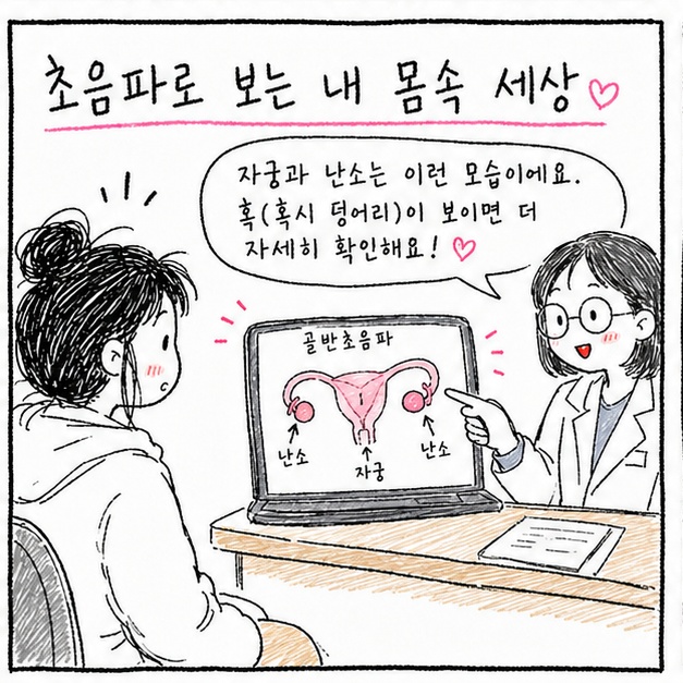 골반 초음파