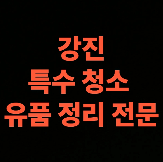 강진 고독사청소 업체