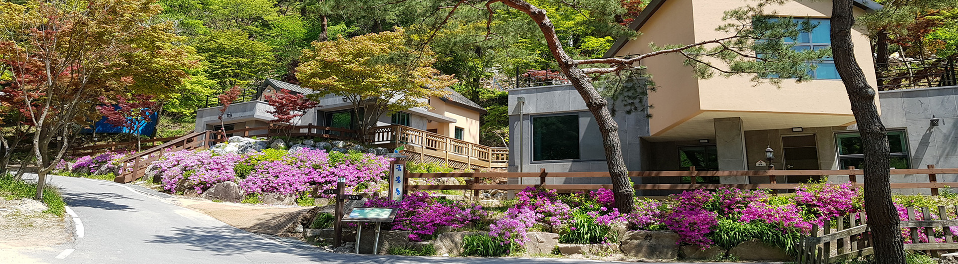 충북 제천 박달재 자연휴양림 예약 여행 숙소 주변 단풍 명소 계곡 트레킹 등산 할인 날씨 정보