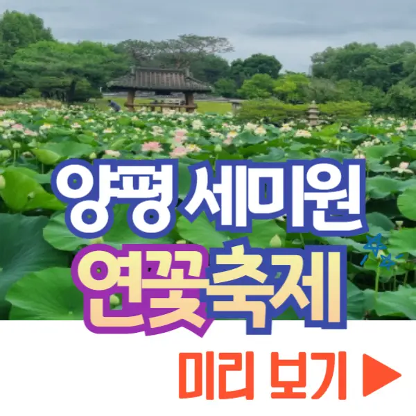 양평 세미원 연꽃축제