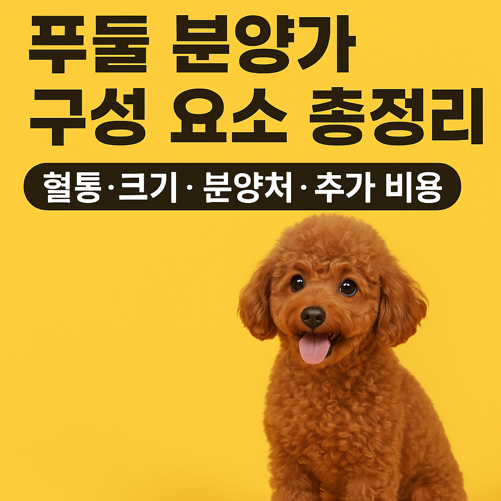 푸들 분양가 구성 요소