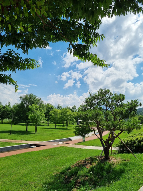 물의정원-풍경10