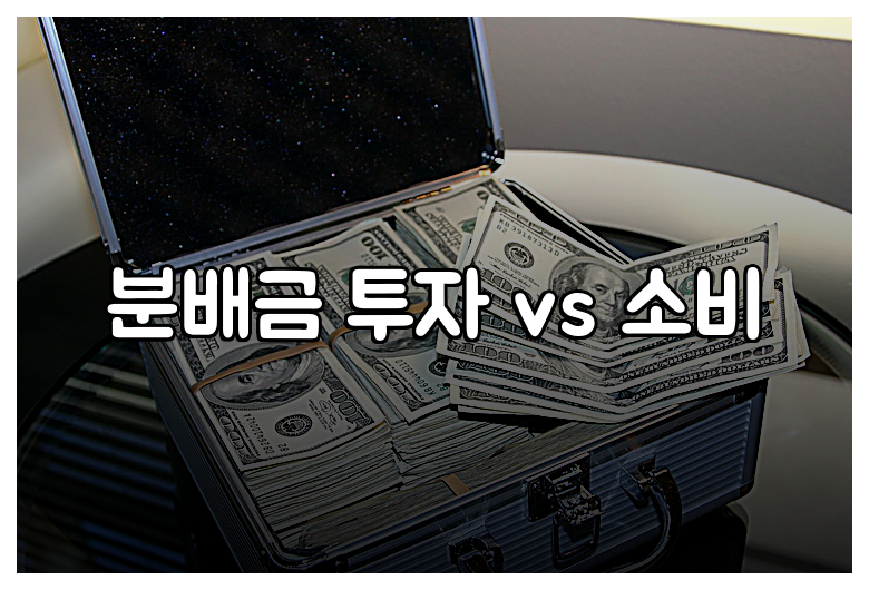 분배금 투자 vs 소비