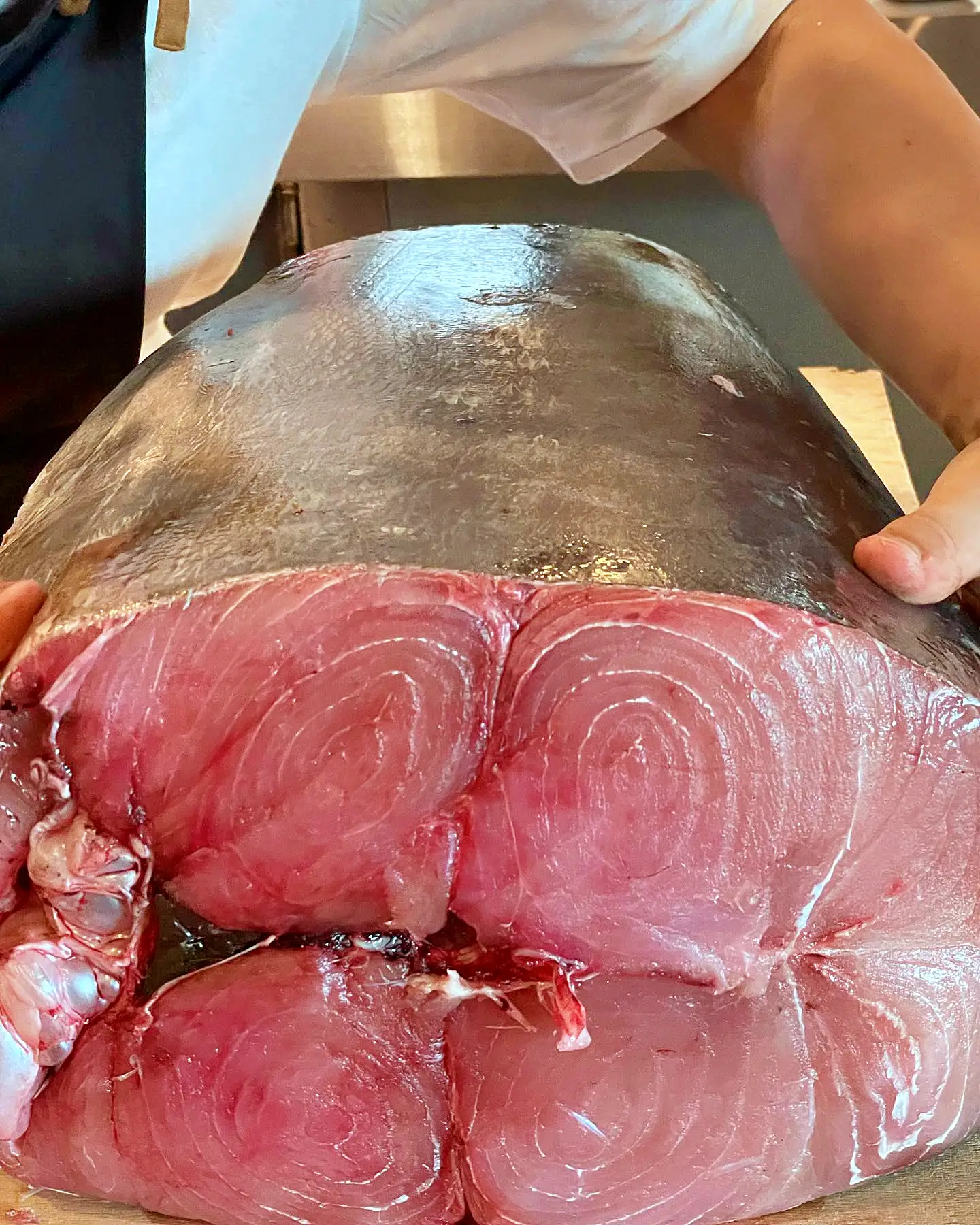 강릉의 제철 재료로 탄생한 신개념 유럽식 요리 한 상 강릉 안목해변 커피거리 맛집 추천 생방송투데이 리얼맛집 오늘방송 맛의 승부사