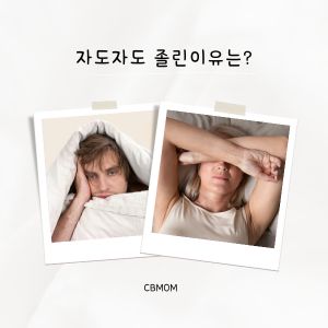 자도자도 졸린이유
